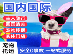 西宁曹家堡航空运输国际宠物托运 【国